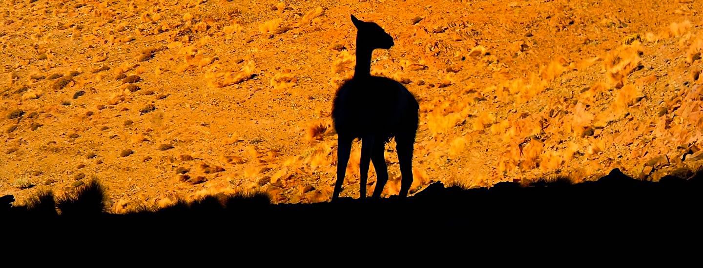 Passenger On Earth