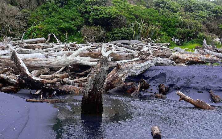 Black Beach near Mokau
