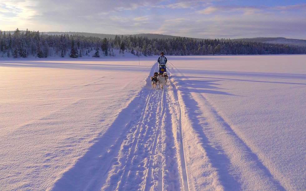 Schwedisch Lappland - Atemberaubend: Winter Husky Schlitten-Tour mit selbstgesteuertem Schlitten - Winter von seiner schönsten Seite erleben