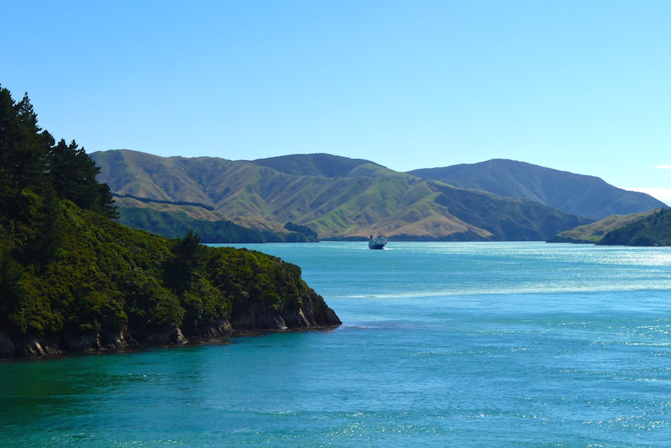 Queen Charlotte Sound by Ferry New Zealand 2