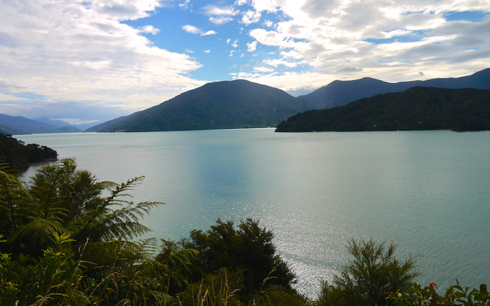 View from Awesome Queen Charlotte Drive between Piction and Havelock South Island NZ