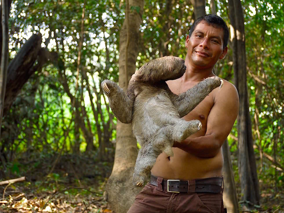 Faultier - Abenteuer Amazonas Dschungel Tour - Peru