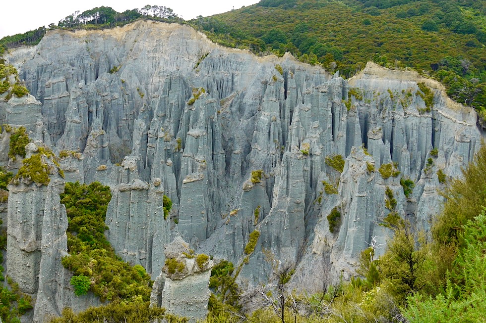 Putangirua Pinnacles - Grandioser Ausblick vom Lookout auf die Herr der Ringe Kulisse - Nahe Cape Palliser - Nordinsel, Neuseeland