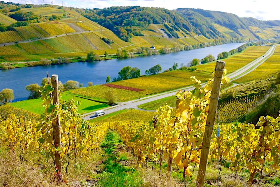 Faszinierende Rheinland-Pfalz Reisetipps - Die schönsten Burgen, Weinberge an Mosel & Rhein - Ein Reisebericht von einer Campervan-Tour