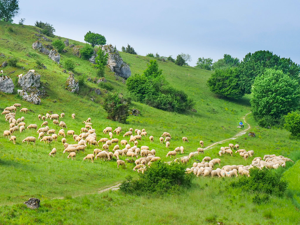 Schäferweg Wanderung - Schönste Wanderung im Donau-Ries mit vielen Geologie & Archäologie Highlights - Bayern