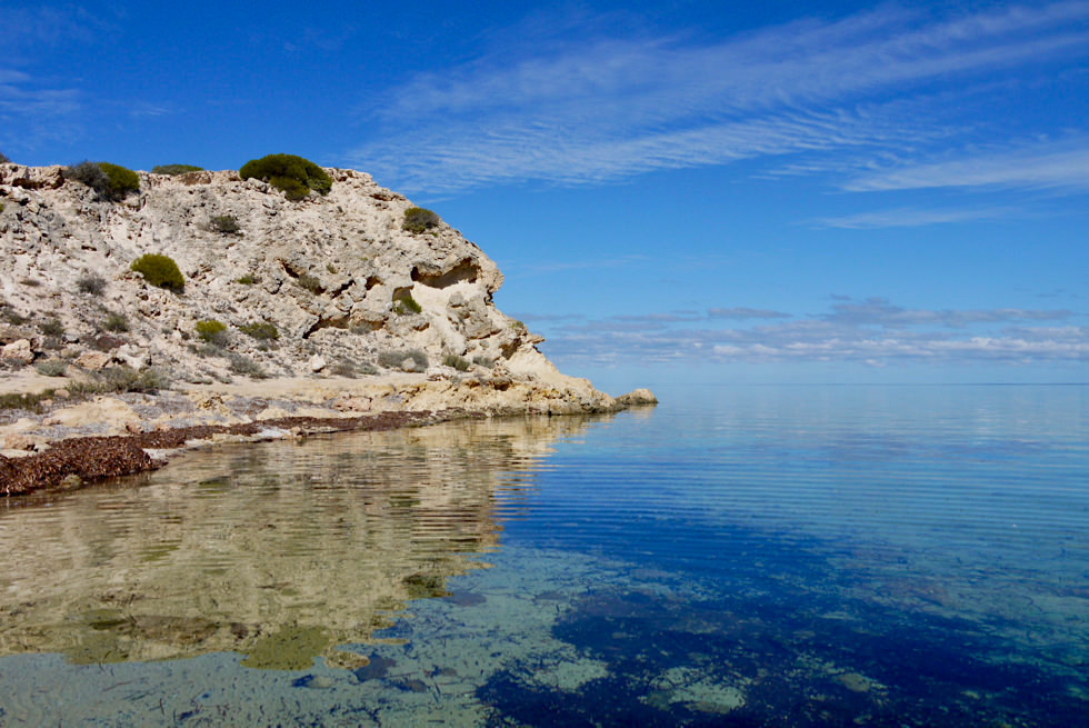 Shark Bay Highlights - Zauberhafte Whalebone Bay - Western Australia