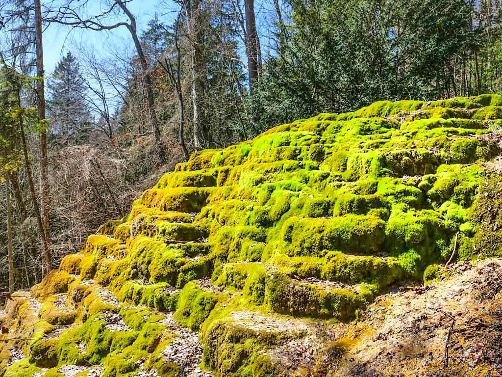 Naturphänomen Sinterterrassen Hoher Brunnen - Faszinierende Rundwanderung & Geheimtipp bei Erasbach im schönen Altmühltal - Bayern