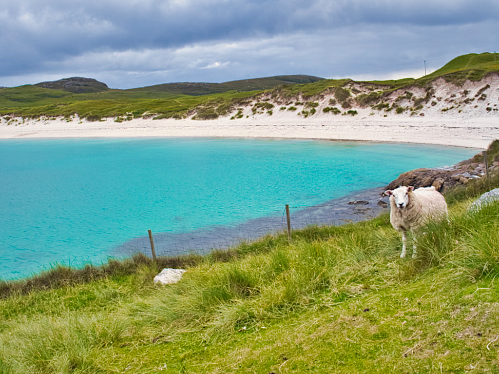 Wunderschöner Ausblick auf Vatersay Beach - Äußere Hebriden, Schottland