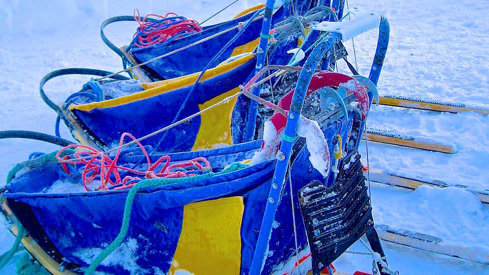 Husky Abenteuer außerhalb der Komfortzone - Vereiste Husky Schlitten - Schwedisch Lappland oberhalb des Polarkreises - Schweden