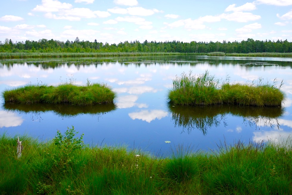 Wurzacher Ried & Riedsee - Größtes, intaktes Hochmoor Mitteleuropas - Baden-Württemberg