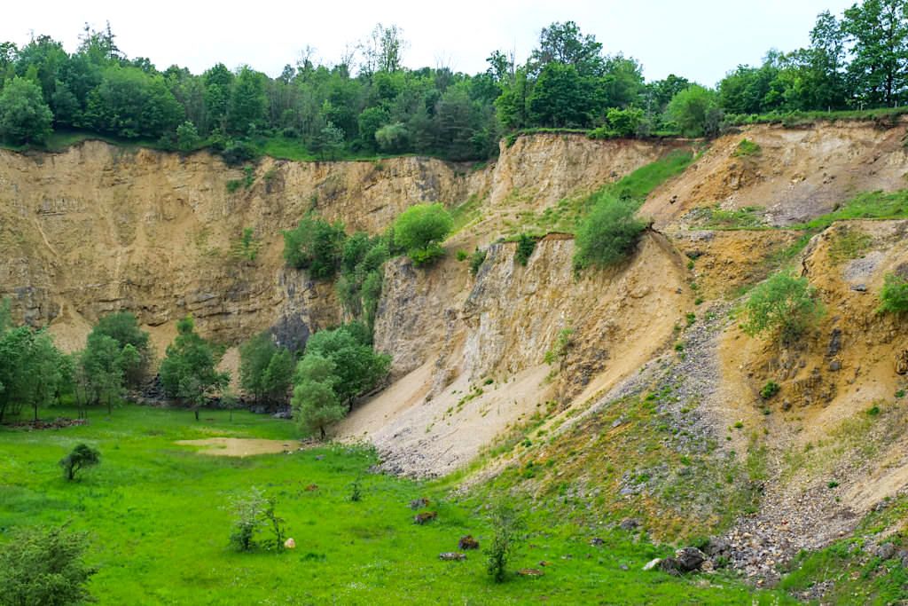 Aufschlusswand im Geotop Lindle und geschütztes Biotop- Nördlingen, Bayern