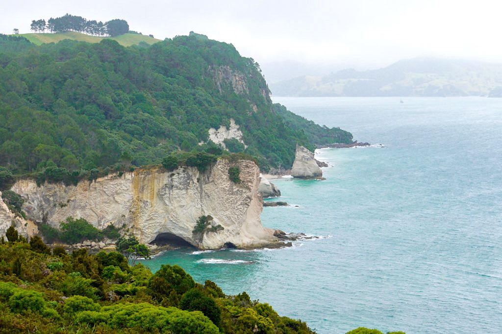 Cathedral Cove Walk - Mystische Ausblicke im Nebel - Coromandel Peninsula - Nordinsel, Neuseeland 