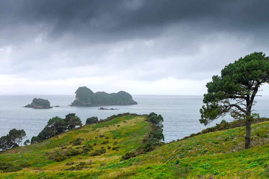 Cathedral Cove Walk: mystische Stimmung bei Wolken - Coromandel Highlights - Nordinsel, Neuseeland