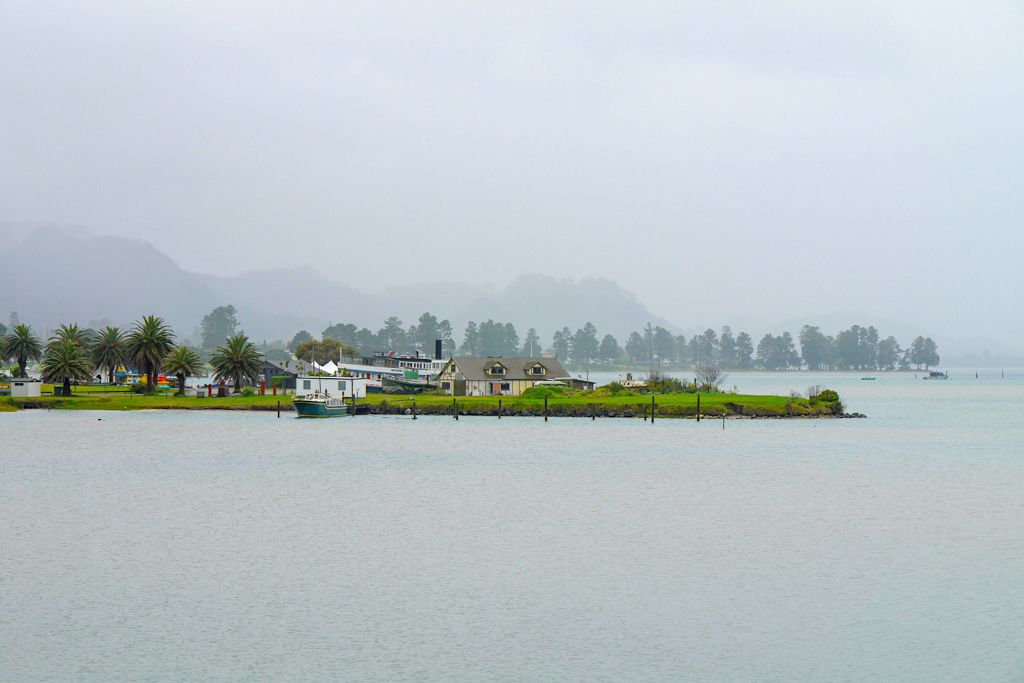 Coromandel Peninsula - Besonders mystische Stimmung im Nebel - Nordinsel, Neuseeland