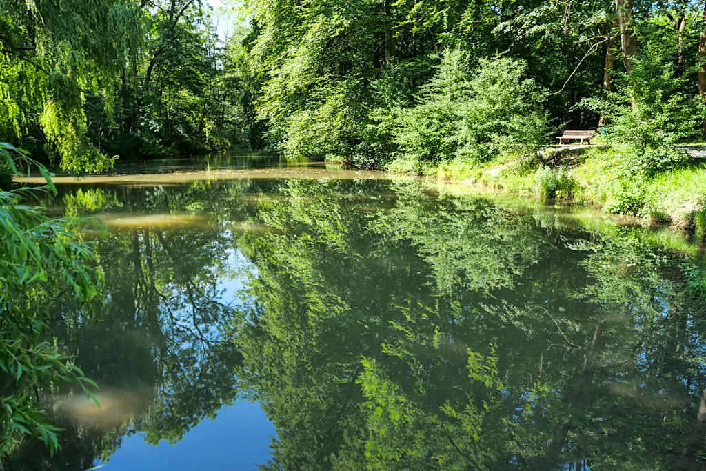 Englischer Garten Nordteil - Idyllisch gelegener Entenfallweiher in der Nähe des Aumeister Biergartens - München, Bayern