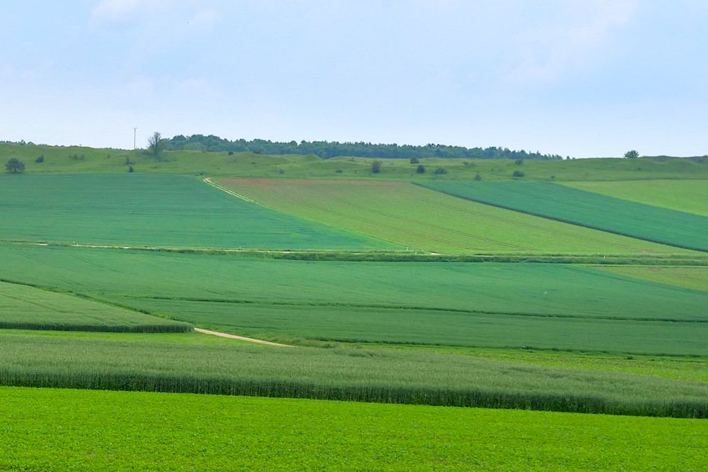 Felder & Wiesen - Schäferweg Wanderung - Donau-Ries, Bayern
