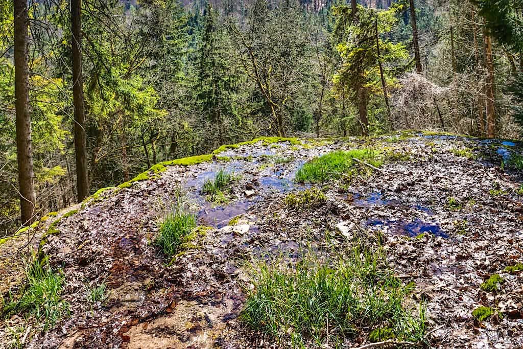 Sinterterrassen Hoher Brunnen von oben - Faszinierende Naturwunder-Wanderung bei Erasbach - Altmühltal, Bayern