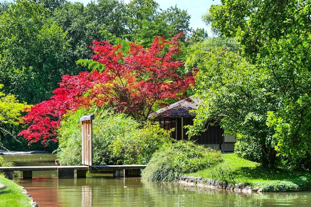 Japanisches Teehaus - Sehenwürdigkeit im Südteil des Englischen Gartens - München, Bayern