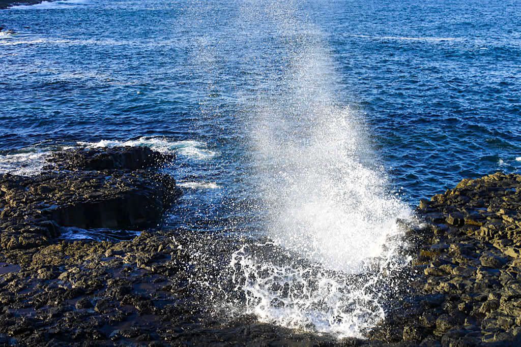 Das Kiama Little Blowhole ist weit weniger touristisch & ein beliebter Picknickplatz bei den Einheimischen - New South Wales