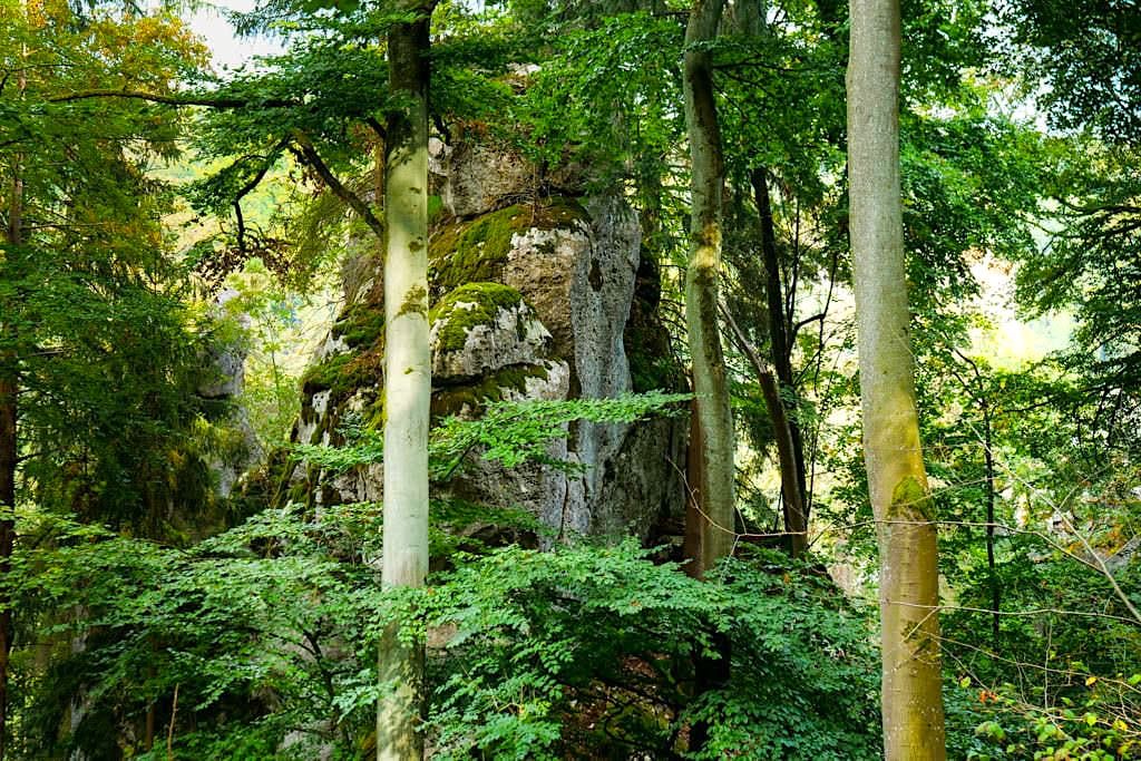 Imposante Altmühltal Klamm Wanderung zwischen Riedenburg und Prunn durch eine wasserlose Schlucht - Bayern