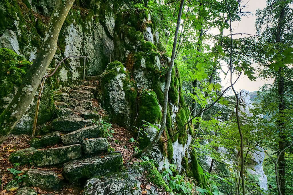 Wunderschöne Klamm-Wanderung zwischen Riedenburg und Prunn - Felsstufen & Steig - Altmühltal, Bayern