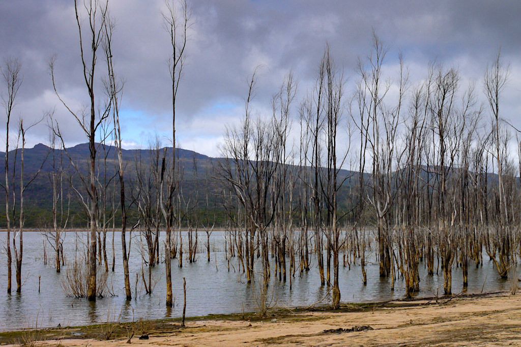 Lake Bellfield: mystischer See bei Halls Gap - Grampians Nationalpark - Victoria