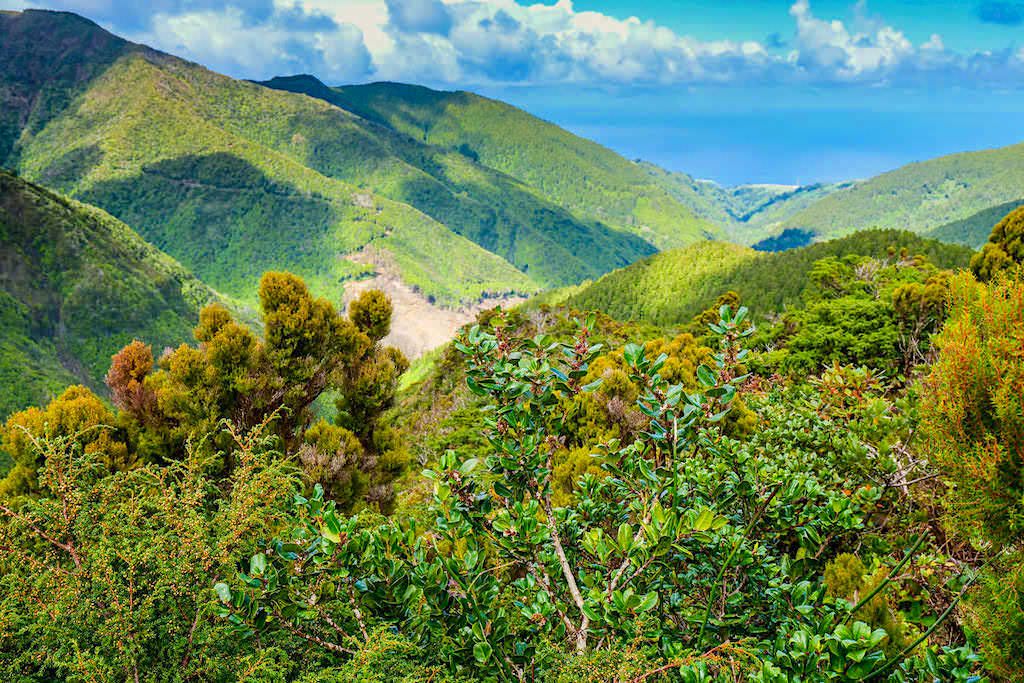 Land of Priolo - ein außergewöhnliches, erfolgreiches Vorzeige-Naturschutzprojekt im Osten von Sao Miguel - Azoren