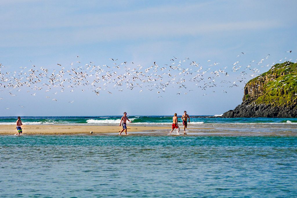 Minnamurra Beach - Action Playground & Kiama Highlight - New South Wales