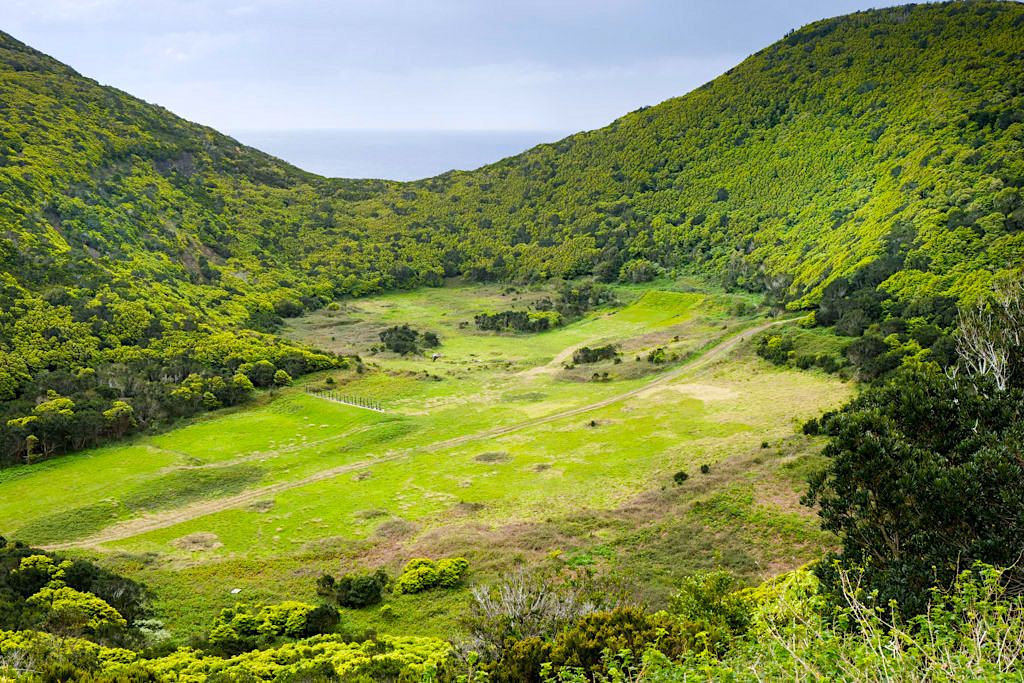 Monte Brasil - Ausblick in den grünen Schlund eines Kraters - Terceira - Azoren
