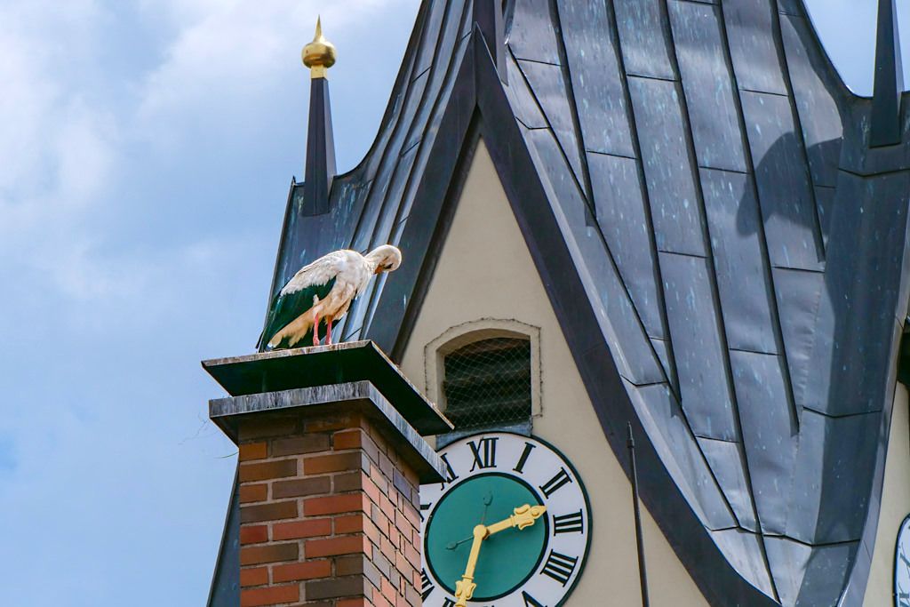 Oettingen - Stadt der Störche mit vielen, vielen Störchen & Storchennester - Sehenswürdigkeiten im Donau-Ries, Bayern