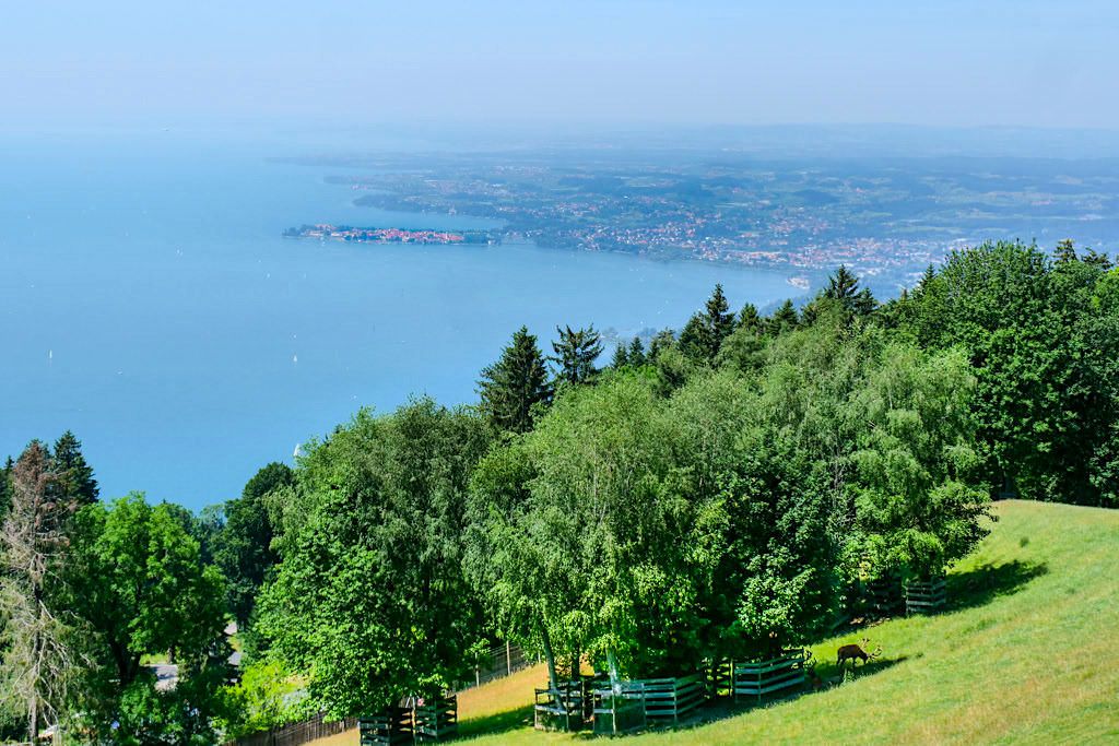 Pfänder - Grandioser Ausblick auf den Bodensee und hinüber nach Lindau - Bregenz, Österreich