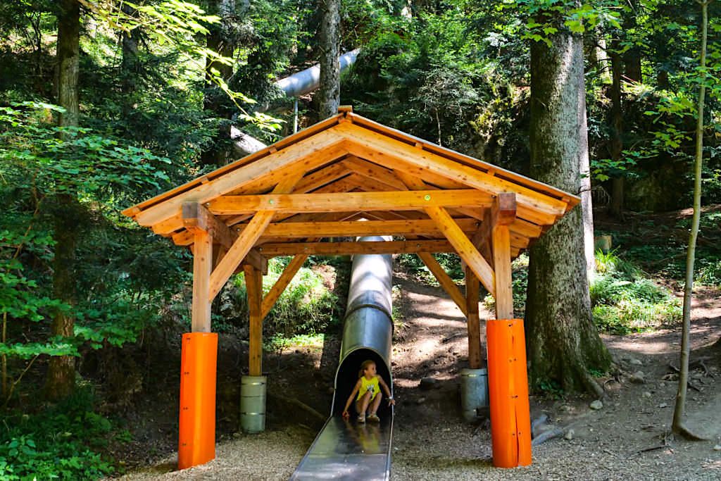 Pfänder Wildpark - Erlebnis-Rutsche und Klettersteine für Kinder - Bregenz, Österreich