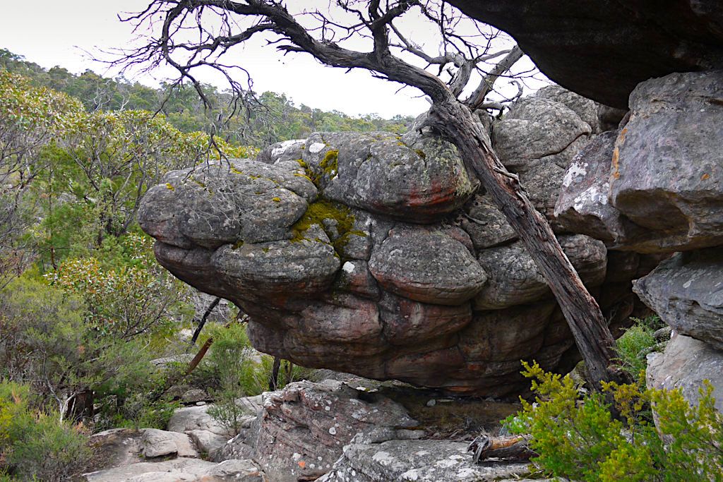 Pinnacle Lookout Wanderung - Felsformationen entlang des Weges - Grampians National Park - Victoria