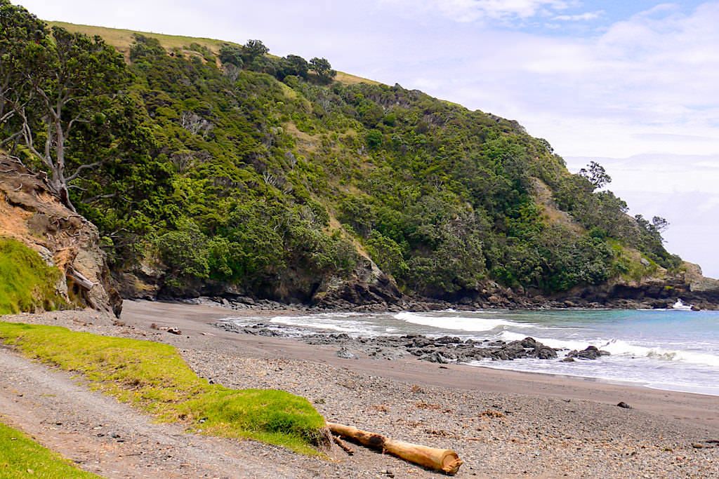 Port Jackson Bay & Campsite - Paradies und Idylle ganz im Norden der Coromandel Peninsula - Nordinsel, Neuseeland