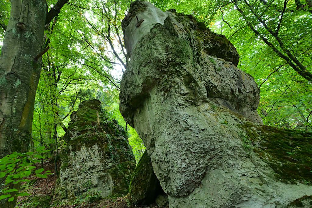 Altmühltal Klamm Wanderung mit imposanten Felsen - Von Riedenburg nach Prunn - Bayern