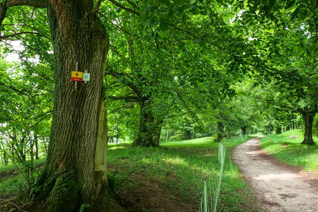 Schäferweg Wanderung auf der schattigen Marienhöhe - Nördlingen im Donau-Ries -Bayern