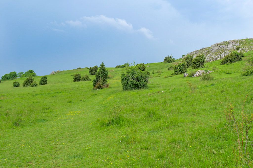 Schäferweg Wanderung südlich von Nördlingen über den Riegelberg - Donau-Ries, Bayern