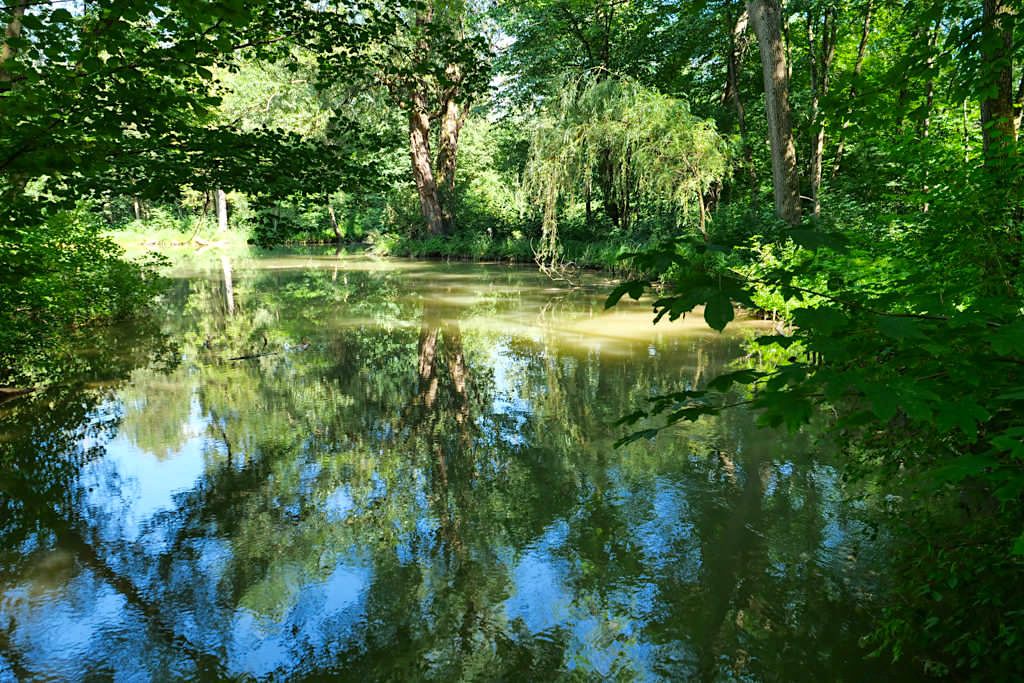 Wildschöner Schwammerlweiher im Nordteil Englischer Garten - München Attraktionen - Bayern