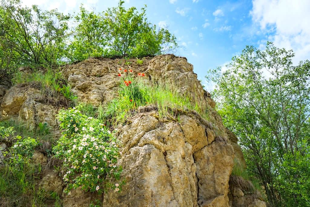 Faszinierend schöner Suevit-Steinbruch Aumühle im Donau-Ries - Top 100 der schönsten Geotop in Bayern