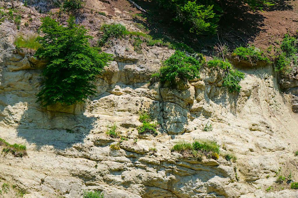 Suevit-Steinbruch Altenbürg - Ries-Ereignis schafft 400m dicke Suevit-Schicht über dem Rieskrater - Riesbürg, Bayern