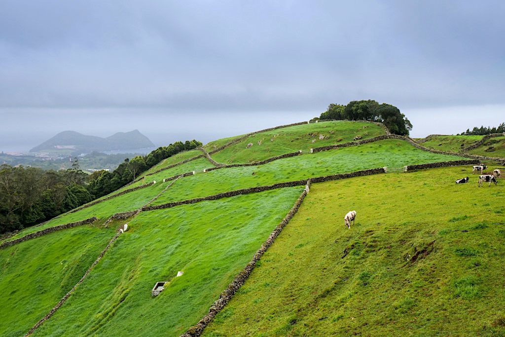 Terra Cha: grandioser Ausblick auf Angra und das Hinterland auf Terceira - Azoren