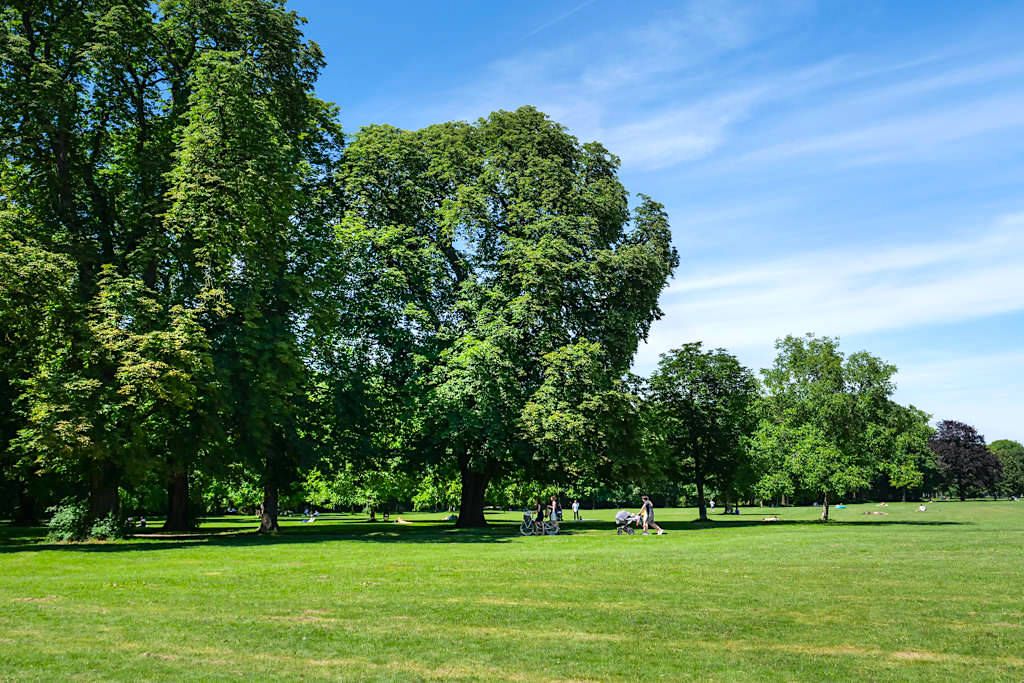 Große Werneck Wiese führt zum Kleinhesseloher See - Englischer Garten - Bayern