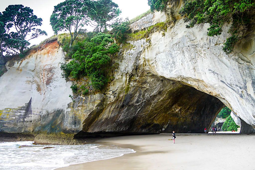 Faszination Cathedral Cove: beeindruckende Felszunge mit Höhle - ein Coromandel Highlights - Nordinsel, Neuseeland