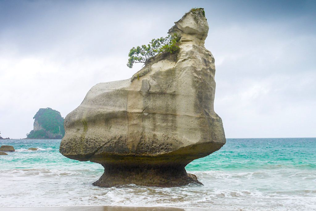 Smiling Sphinx Rock - Mare's Leg Cove & Cathedral Cove - Coromandel Highlights - Nordinsel, Neuseeland