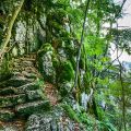 Altmühltal Klamm Wanderung - Von Riedenburg nach Prunn ist eine der schönsten Wanderungen im Altmühltal - Bayern