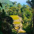 Ciudad Perdida - Faszinierendes, unvergesslich schönes Dschungel-Trekking zu der Verlorenen Stadt - Kolumbien