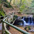 Ehrbachklamm