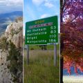 Great Alpine Tourist Road - Victoria