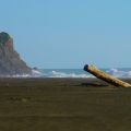 karekare beach near Auckland