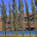 Lake Dunstan Otago Region Cromwell